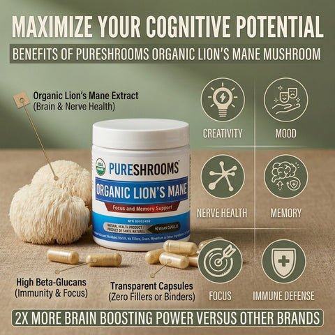Lion's Mane Supplement