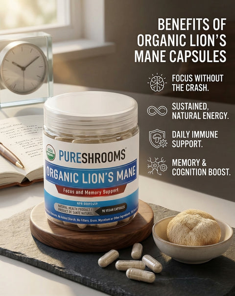 Lion's Mane Supplement
