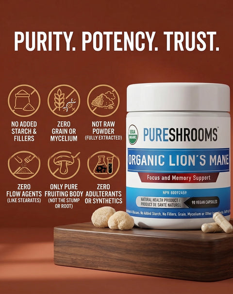 Lion's Mane Supplement