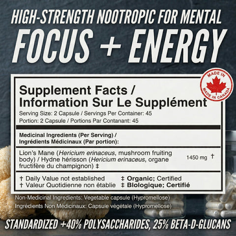 Lion's Mane Supplement