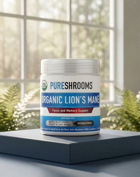 Lion's Mane Supplement