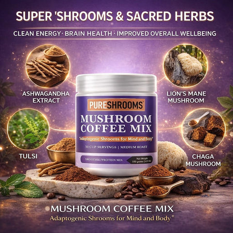 Superfood Mushroom Coffee for Protein Shakes & Smoothies