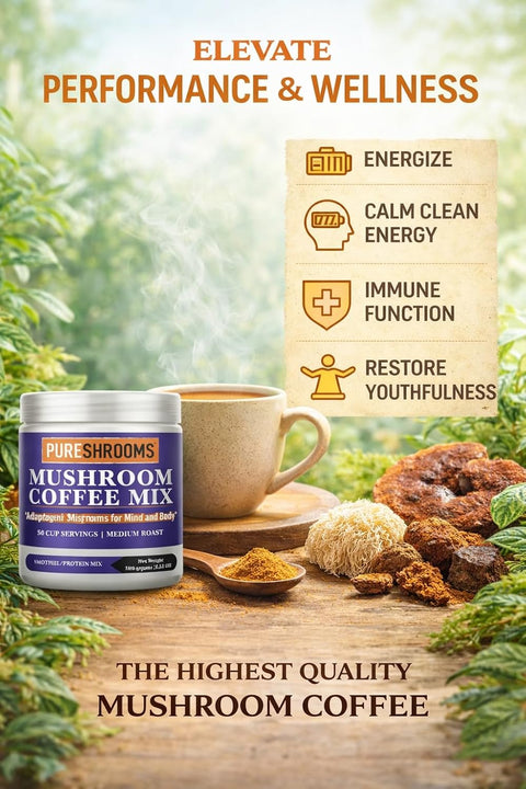 Superfood Mushroom Coffee for Protein Shakes & Smoothies