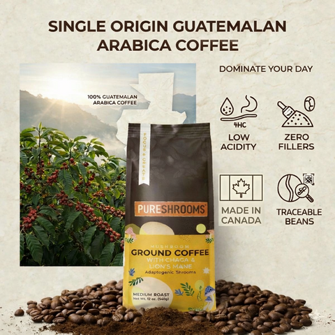 Focus and Create Ground Mushroom Coffee