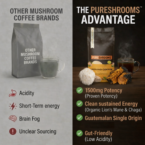 Focus and Create Ground Mushroom Coffee