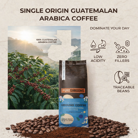 Balance & Defend Ground Mushroom Coffee