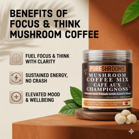 Focus & Think Instant Mushroom Coffee