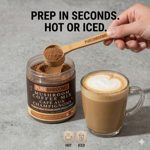 Focus & Think Instant Mushroom Coffee