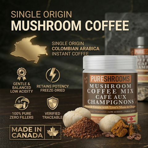 Focus Create Instant Mushroom Coffee
