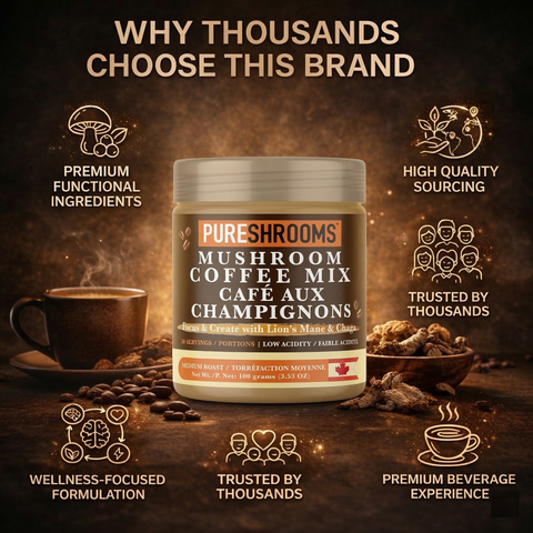 Focus Create Instant Mushroom Coffee