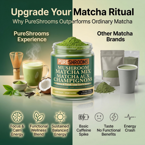 Matcha Mushroom Green Tea