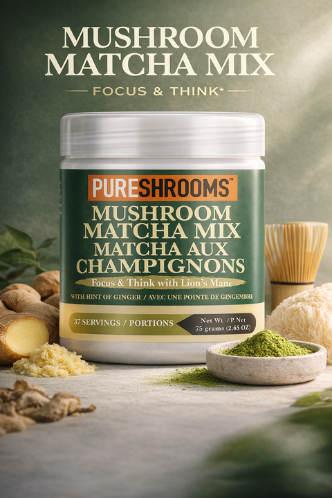 Matcha Mushroom Green Tea
