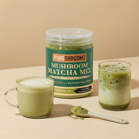 Matcha Mushroom Green Tea