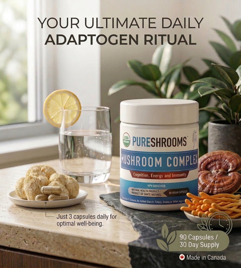 Mushroom Complex Supplement