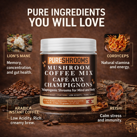 Mind & Body Mushroom Instant Coffee
