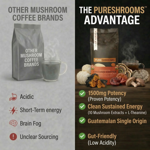 Perfect 10 Ground Mushroom Coffee