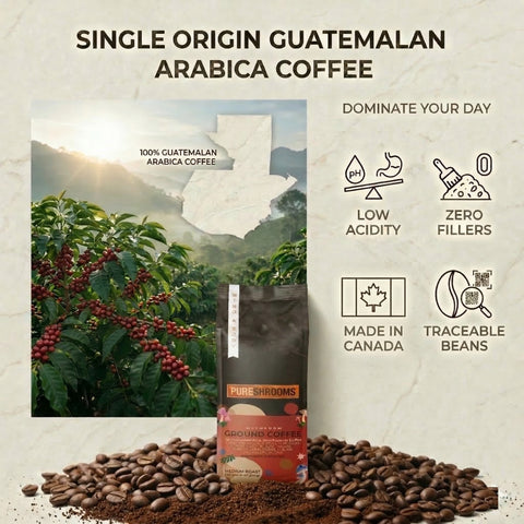 Perfect 10 Ground Mushroom Coffee